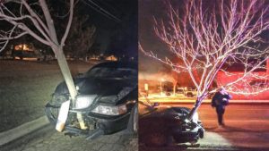 roselle police tree
